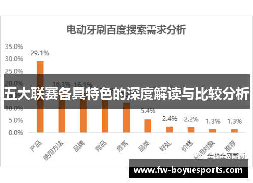 五大联赛各具特色的深度解读与比较分析 五大联赛各具特色的深度解读与比较分析