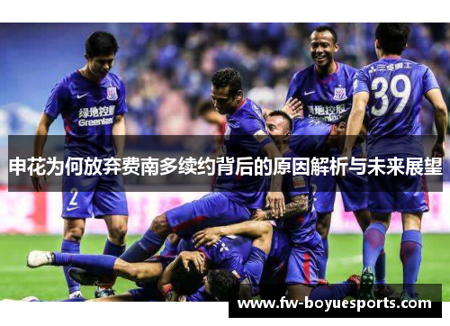 申花为何放弃费南多续约背后的原因解析与未来展望